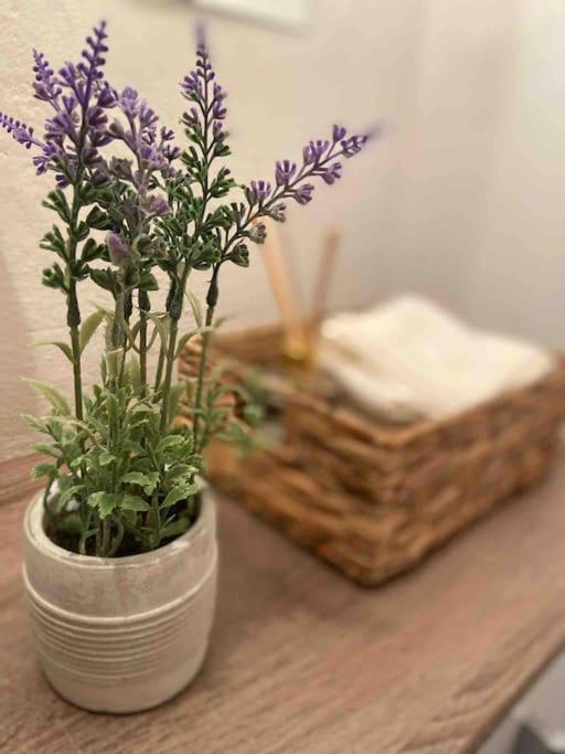 Zentrale Wohnung Gmunden Alte Baeckerei Zewnętrze zdjęcie